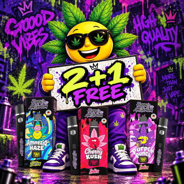 Pack HAPPY 2+1